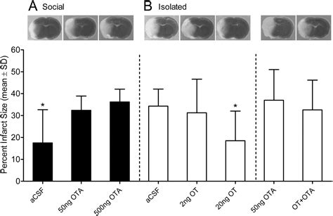 Oxytocin Mediates Social Neuroprotection After Cerebral Ischemia.